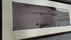 Stuart Klipper 12×38″ Chromogenic Photo Print – Framed & Matted – Antarctica