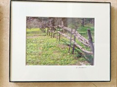 Grouping Trio Wall Art Fall Trees, Lake Ocean Boardwalk Photo Art Signed Framed