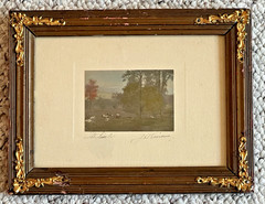 Rare David Davidson Hand Colored Photo «The Siesta» Cows In A Wooded Field