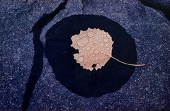 Ernst Haas «Vermont» Photograph