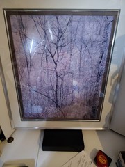 Eliot Porter Print Redbud Tree In Bottom Land Formatting’s Professional Framed