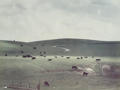 COLE WESTON, «PALO CORONA RANCH» SIGNED C-PRINT PHOTOGRAPH
