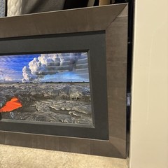 Peter Lik “Evolution” Lava Framed Photo