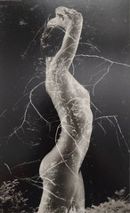Ruth Bernhard (American, 1905-2006). Symbiosis, 1971.