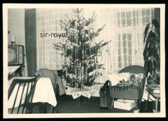 Christmas tree in the living room-Christmas-Zittau-GDR 1960s-photo 10x7cm