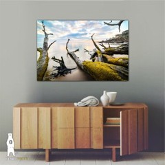 Boneyard Beach, Big Talbot Island, Florida Driftwood Décor, Coastal Photography