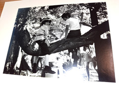 6 Gelatin Silver, B+W 8″x10″ Photography Darkroom Prints 1978 Signed COA 8×10