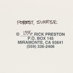 Nashville South: Rick Preston Large Photograph «Forest Sunrise» (1996)