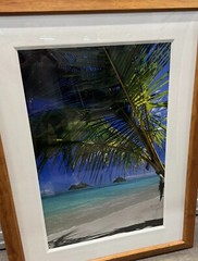 Peter Lik “Sweet Escape” Hawaii Palm Tree 1M Framed Picture