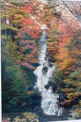 Vintage Waterfall Photo With Rustic Wooden Frame Green Matting By Bill Bates