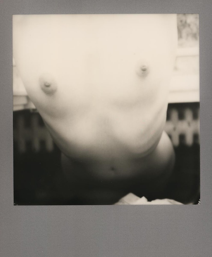 Original ART Nude Polaroid Picture Olivia Linz 142 by Herr Merzi