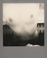 Original ART Nude Polaroid Picture Olivia Linz 142 by Herr Merzi