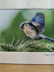 Signed Original Fine Art Photography by Renowned KANSAS Artist WAYNE RHODUS