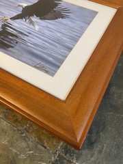 Bald Eagle “Walk On Water” Solid Wood Frame Hand Signed Photograph Lichtenberger