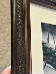 Two Signed Numbered Framed Bird Photographs Cardinal Bluebird By E.J. Kowalski
