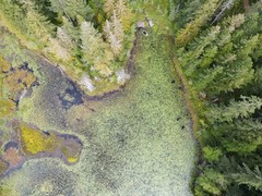 Spencer Lake Marshland/Print #1/Aerial View