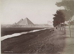 Egypt Pyramids ~ Gizeh Photo Albumin IN Small Format 9, 5×12, 5cm Ca 1880