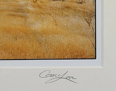 Gary Love Signed Open Edition «Copperhead Raod» Panoramic Photography Framed