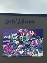 🌠55 Vintage Color Slides Slide 60-80s Lake Constance Mainau Rhine Falls Nature Places Travel +