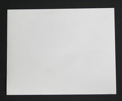Southern Pacific Engine #4199 #2479 Locomotive Photograph Vtg 50s Railway STOP