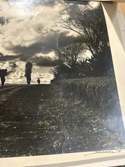 Original Joseph Janney Steinmetz Gelatin Silver Print On Fiber Paper Inscribed**