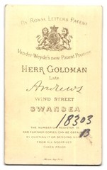 Photograph Mr Goldman, Swansea, Wind Street, Elderly Gentleman with Whisker