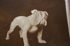 Great old porcelain model-Diller-English Bulldog 1910-1930???
