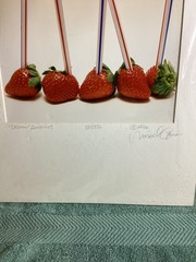 Michael Craven Fine Photography “StrawBerries” Signed Framed 131/350 Print 1996