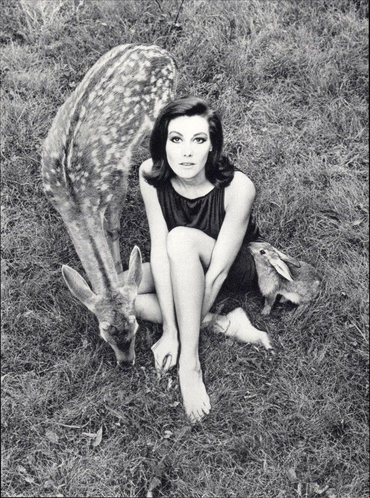 1966 Wingate Paine Female Deer & Rabbit Nude Body Art Photo Photogravure 11 X 14
