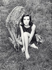 1966 Wingate Paine Female Deer & Rabbit Nude Body Art Photo Photogravure 11 X 14