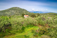 SET of the 5 Digital photos -Croatia Image (for print, or just as a wallpaper)