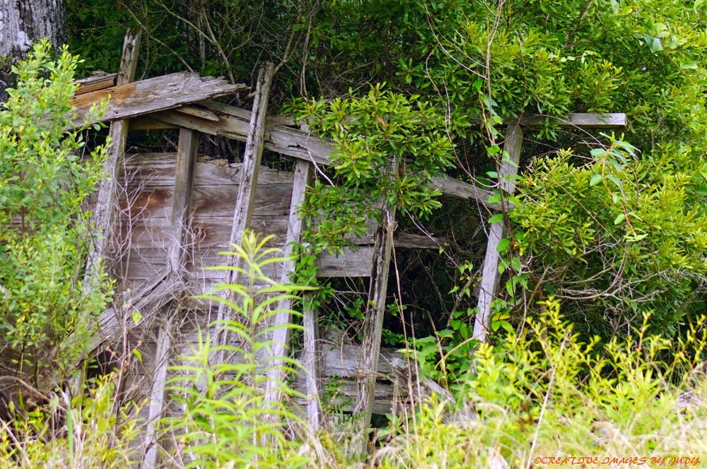 «What is Left of Buffalo City» Ghost Town Wall Art