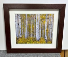 Rodney Lough, Jr. Original Landscape Photograph Custom Framed *HollywoodPosters»