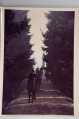 Vintage Analog Photo France Hunting Foxhunting Horse 24X30Cm 1970