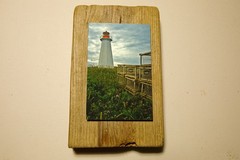 Driftwood Mounted Seascape – Shipwreck Point Lighthouse, Nova Scotia