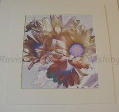 «Peace» Art Photograph White Daisies Original Photo Signed 2018 Hand Cut Mat