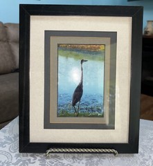 Louisiana Silhouette Of A Great Blue Heron Photo Print Signed & Dated