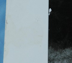 Original Signed & Numbered Art Photograph Titled «The Dream» by Laurie Coppedge