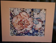 Matted Photograph: Rose Whispers