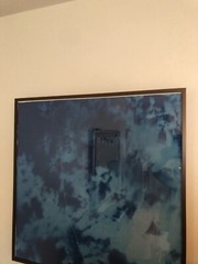 Tom Fels cyanotype Chirstie’s auction photographer Atkins style