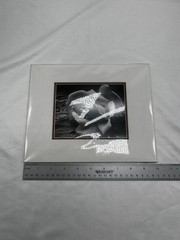ANSEL ADAMS Art Photo ROSE and DRIFTWOOD 1932 4 X6 Print Matted 8 X 10