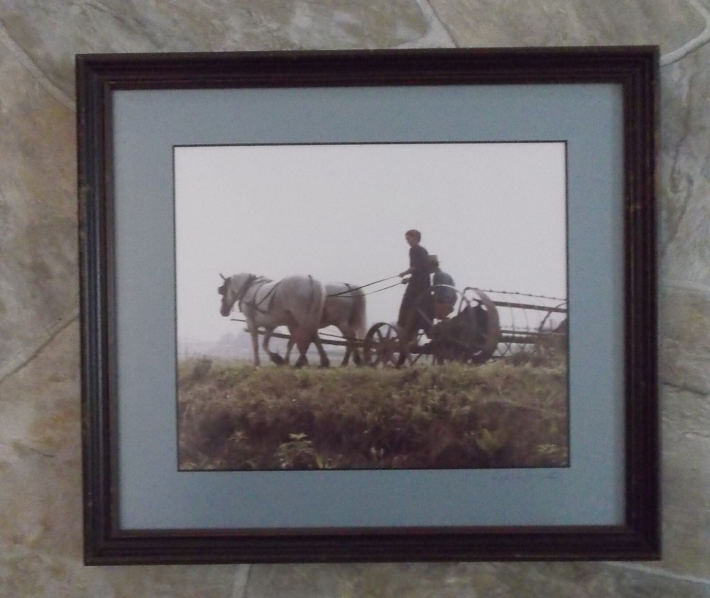Framed Matted & Signed Amish on Hayraker? Photograph