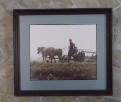 Framed Matted & Signed Amish on Hayraker? Photograph