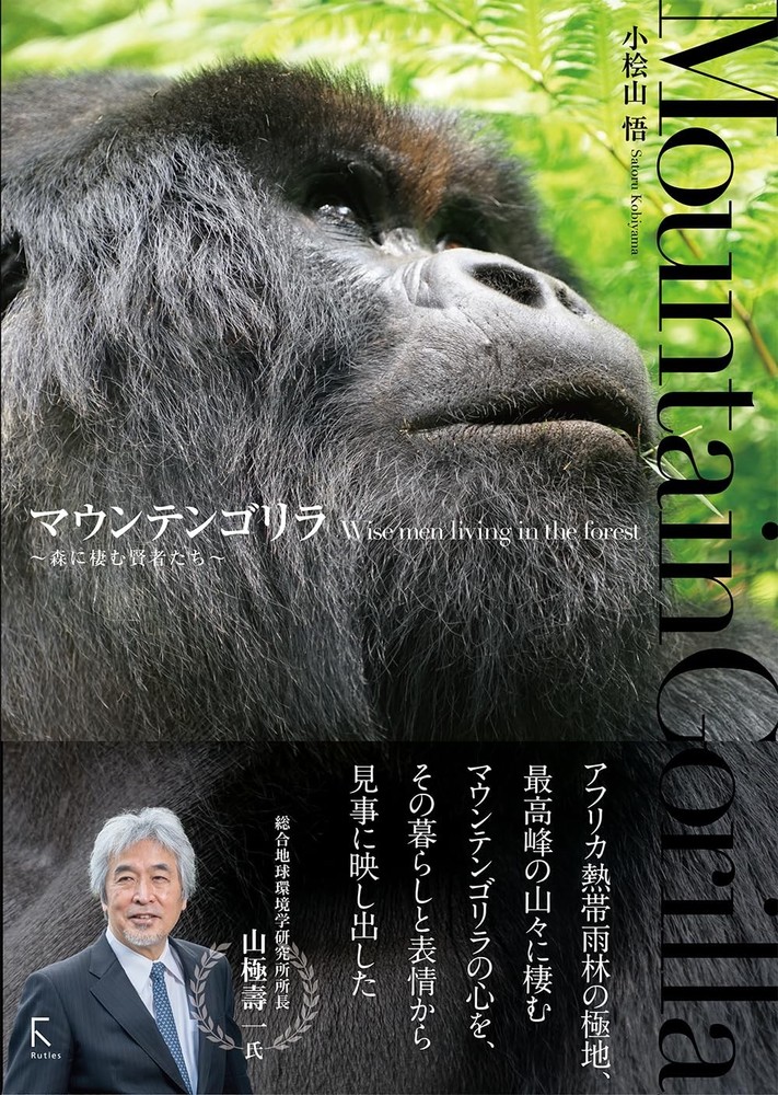 Mountain Gorillas: Wise Creatures of the Forest