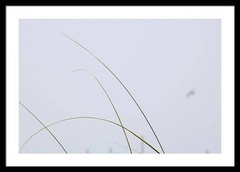 Simplicity – 24×36 Framed Glossy/Matte Fine Art Photographic Print | Wall Decor