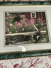 Harry Bowden Nature Photographer, Ontario Blossoms
