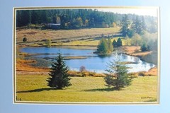 Framed & Matted Photograph by Susan Slapin WA. USA Aluminum Metal Print Signed