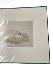 JIM STAMATES COLLECTION WILDLIFE POLAR BEAR MOTHER WITH 2 CUBS PHOTO MATTED