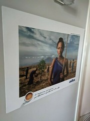 Photo wood framed Steve McCurry Lavazza coffee Calendar 2015 Earth defenders 36″