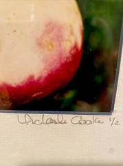 Set of 4 Original Photographs FOR KITCHEN signed and matted Eggplant Radish etc